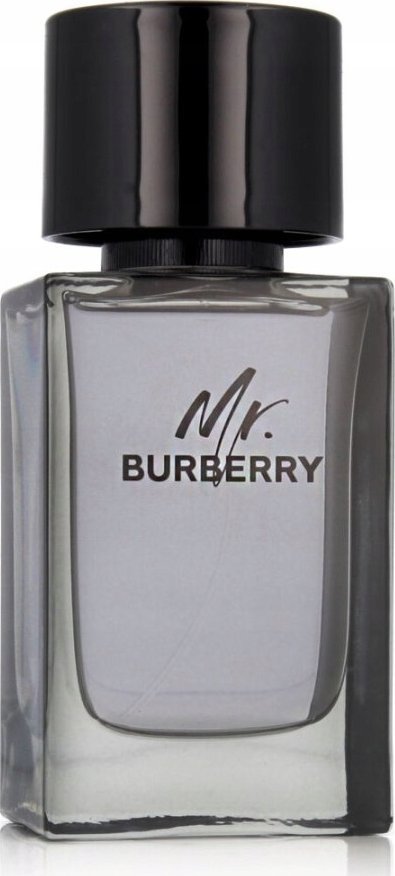 Alkotest BURBERRY Mr. breathalyzer Burberry EDT sprej 100ml