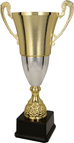 Tryumf Kovový pohár Triumph zlato-stříbrný (2071D)