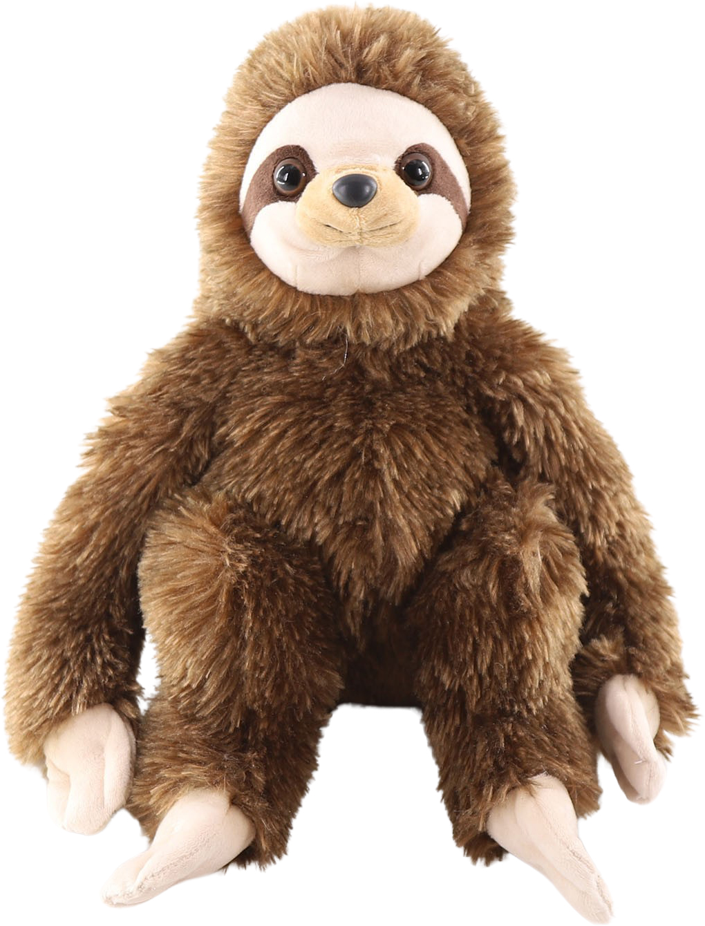 Lenochod dvouprstý 27 cm