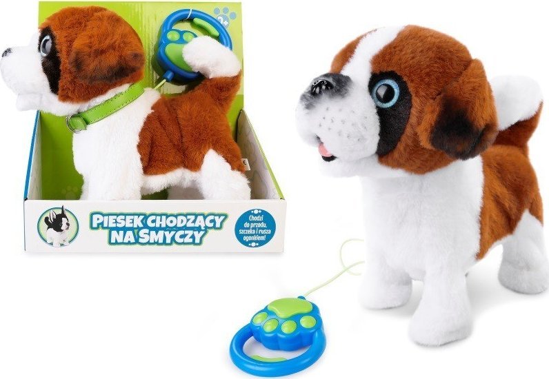 Artyk venčí psa na vodítku 169144