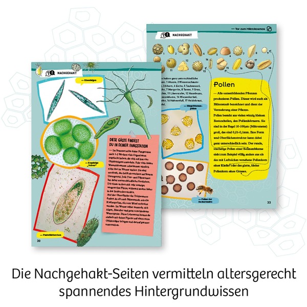 Entdecker-Mikroskop, Experimentierkasten