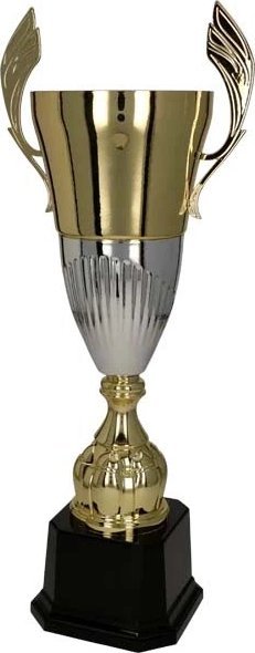 Victoria Sport Cup kovový zlato-stříbrný DIUNA