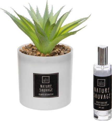 Atmosphera Umělá rostlina s vonným olejem NATURA SAUVAGE