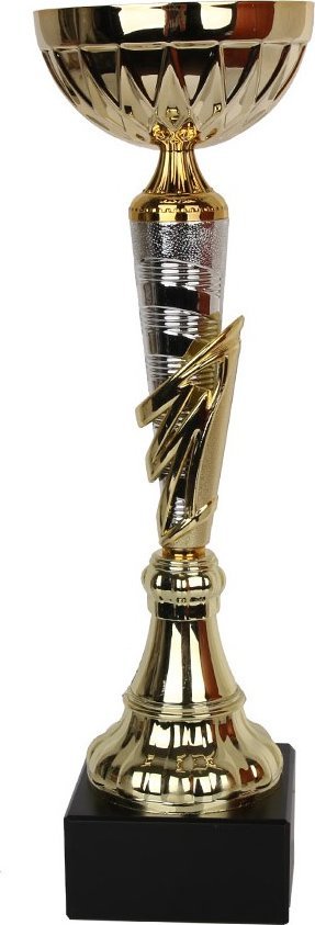 Tryumf  Cup W1991