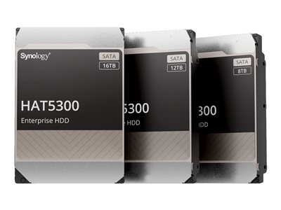 K/RS3621RPXS+12x Synology HDD 12TB SAT