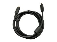 Logitech - USB kabel - 24 pin USB-C (M) do 24 pin USB-C (M) - pro Rally