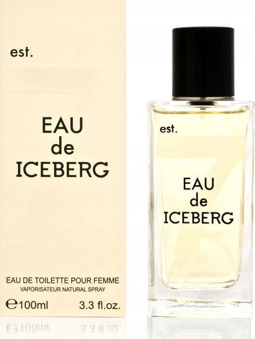 Iceberg Ledová voda 74 100 ml
