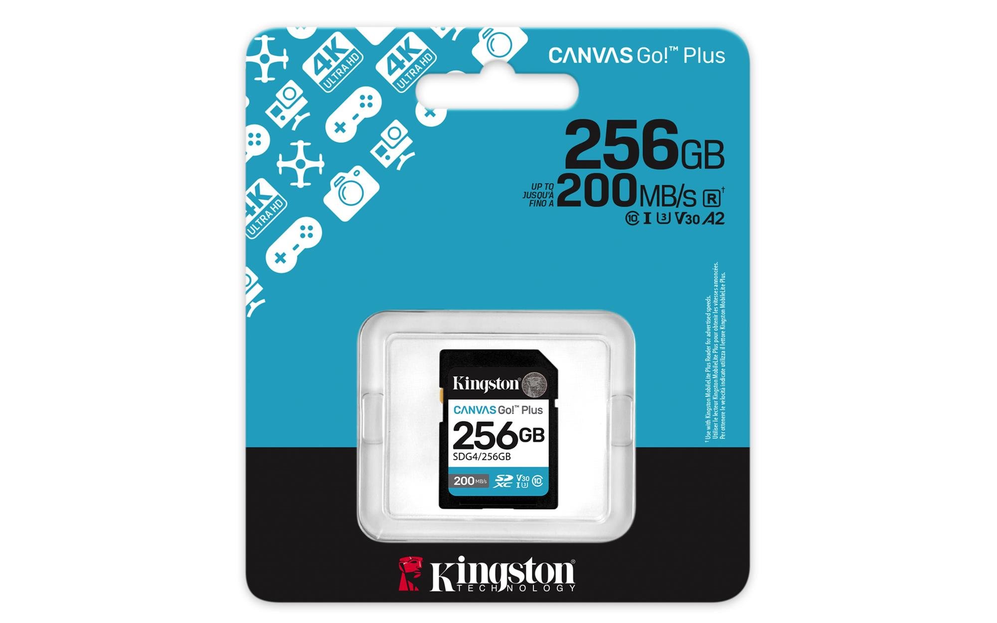 256GB SDXC Canvas Go Plus Gen4 C10