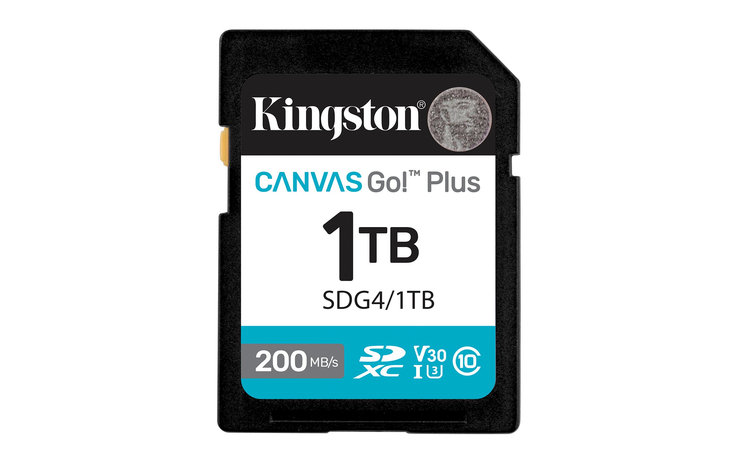 1TB SDXC Canvas Go Plus Gen4 C10