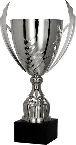 Victoria Sport Cup Metal Silver