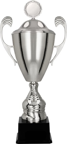 Victoria Sport Cup Metal Silver