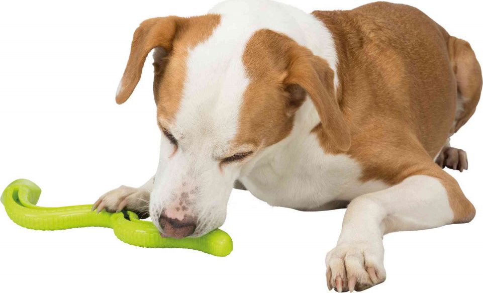 Trixie Snake Dog Toy for Delicacies Trexes Trixie 42cm Universal