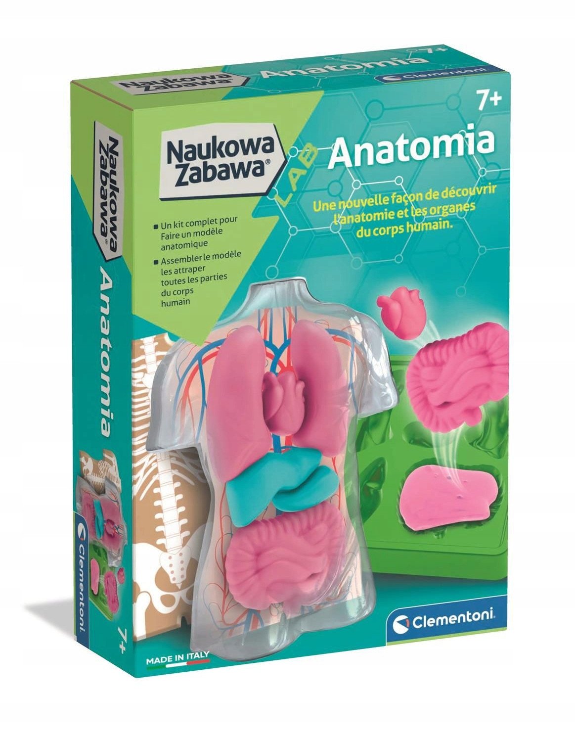 Clementoni CLM ANATOMY ZEST KREAT 50252 PUD6