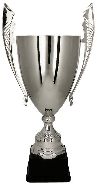 Victoria Sport Cup Metal Silver
