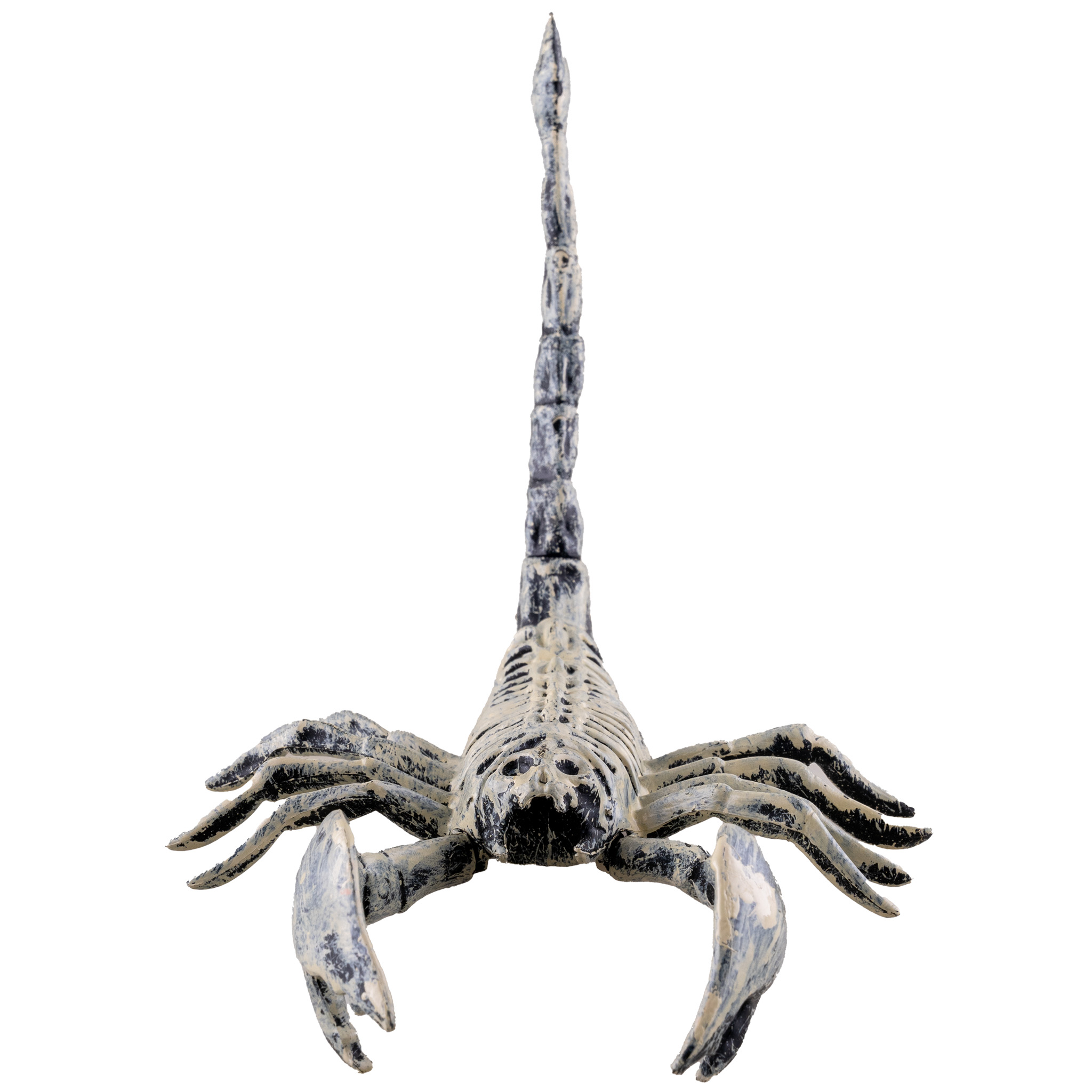 Halloween kostra štíra