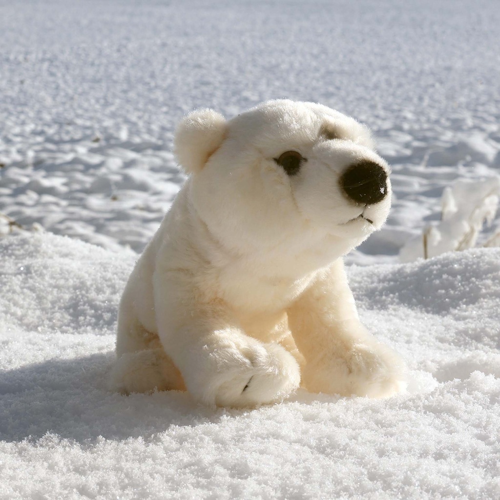 Rappa Plyšový medvěd lední 25 cm ECO-FRIENDLY