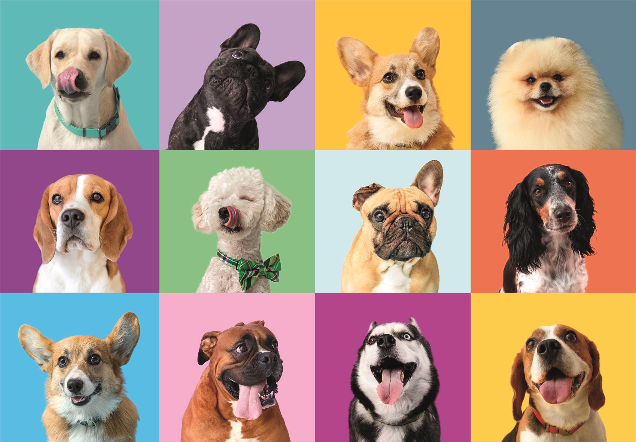 Clementoni - Puzzle 300 Legrační obličeje