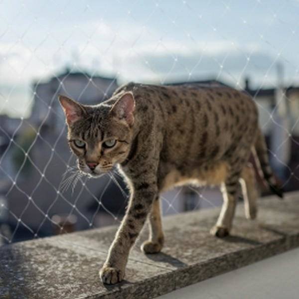 Duvo+ Duvo+ Průhledná ochranná síťka 3x2M 11509