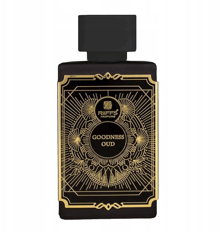 Alkotest Goodness Oud Black EDP sprej 100ml