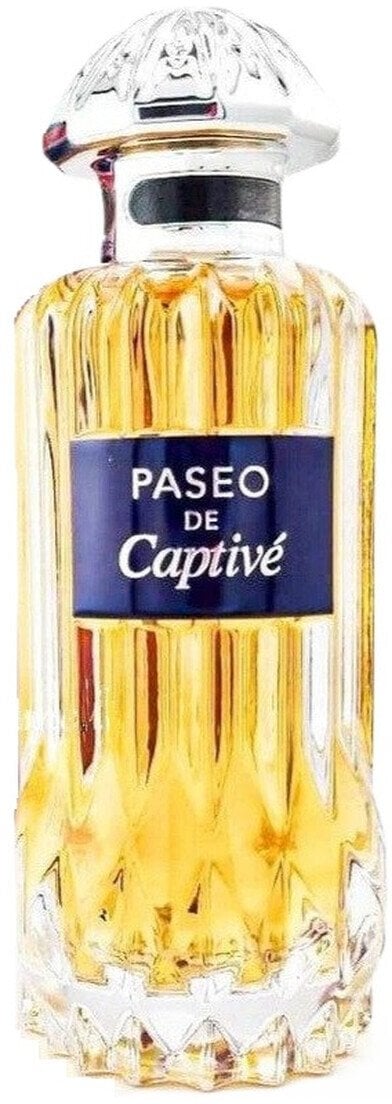 Alkotest Paseo De Captive Eau de Parfum spray 100ml