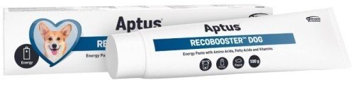 Aptus Recobooster Dog 100g