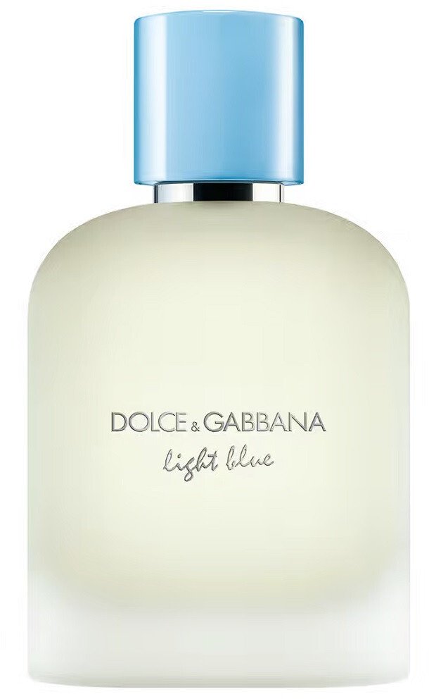 Dolce & Gabbana Light Blue Pour Homme toaletní voda ve spreji 100ml
