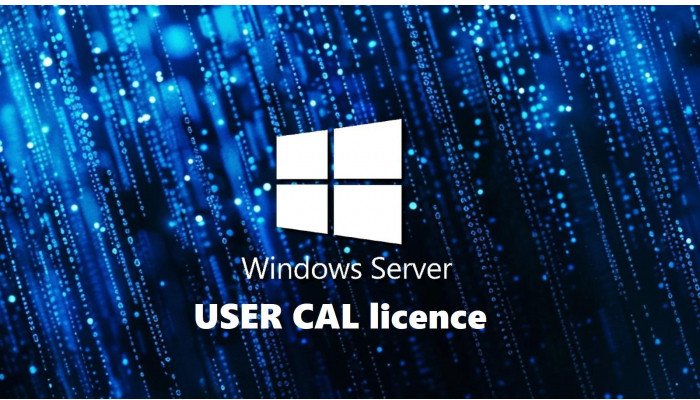 Fujitsu Win Server CAL 2025 (5 User)