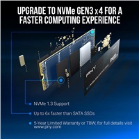 PNY SSD Disk CS1030 500GB M.2 2280 SSD