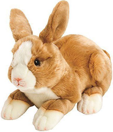 Suki feny Bunny