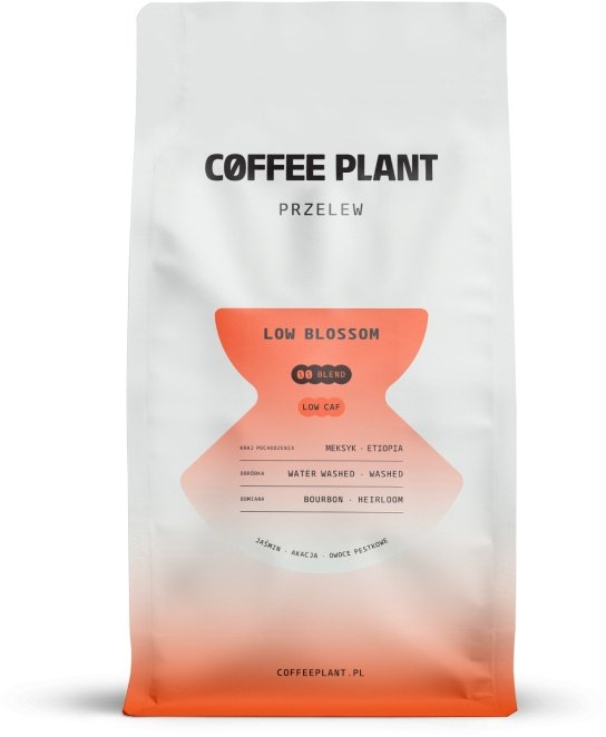 Coffee Plant Kávová rostlina Kávová zrna Kávová rostlina Nízký květ 800g