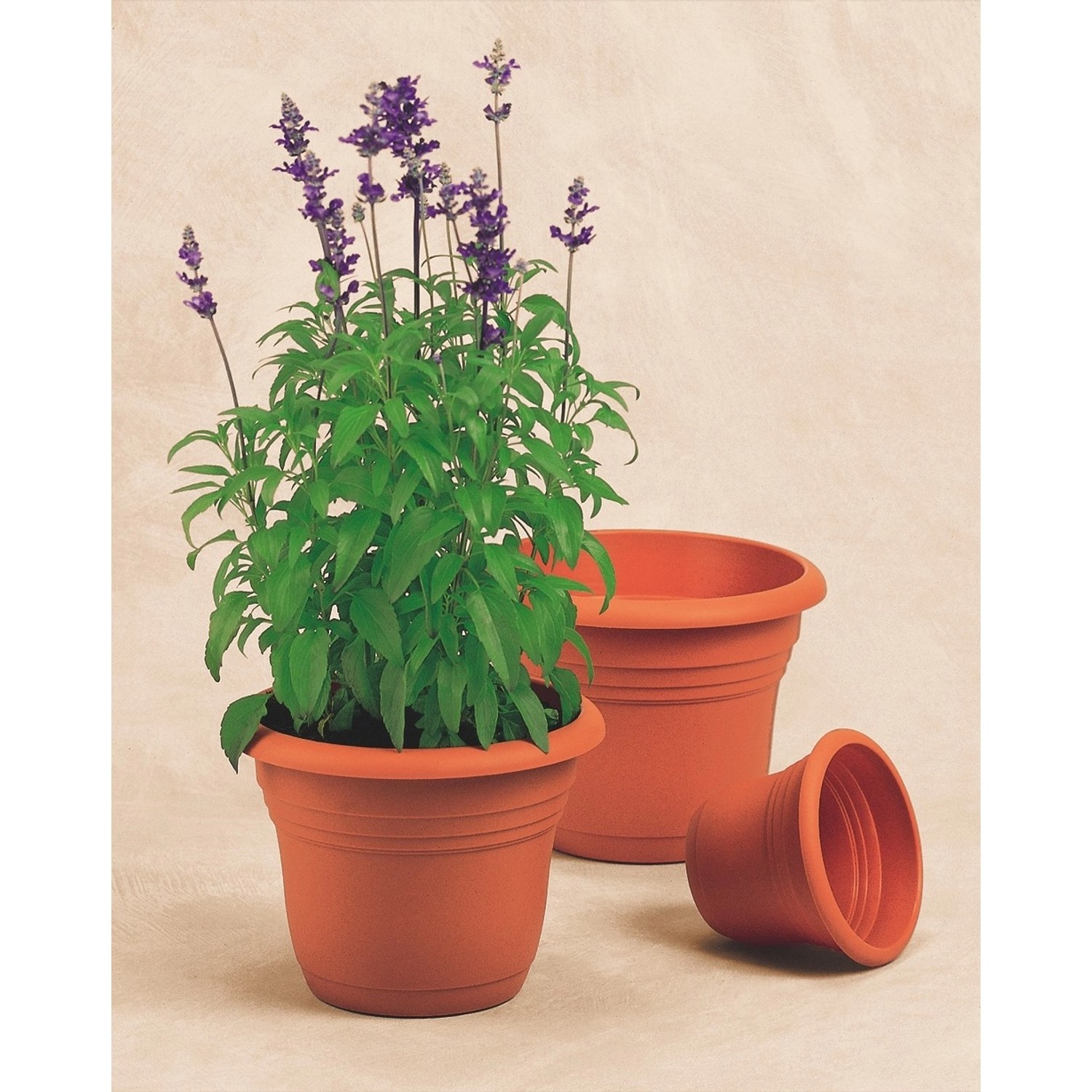 Florus Květináč Fiore Alessia O 35 cm terakota