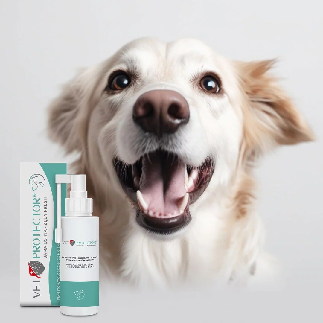 JM SANTE Vet Protector Fresh - stomatologický roztok pro hygienu dutiny ústní u psů a koček – 100 ml