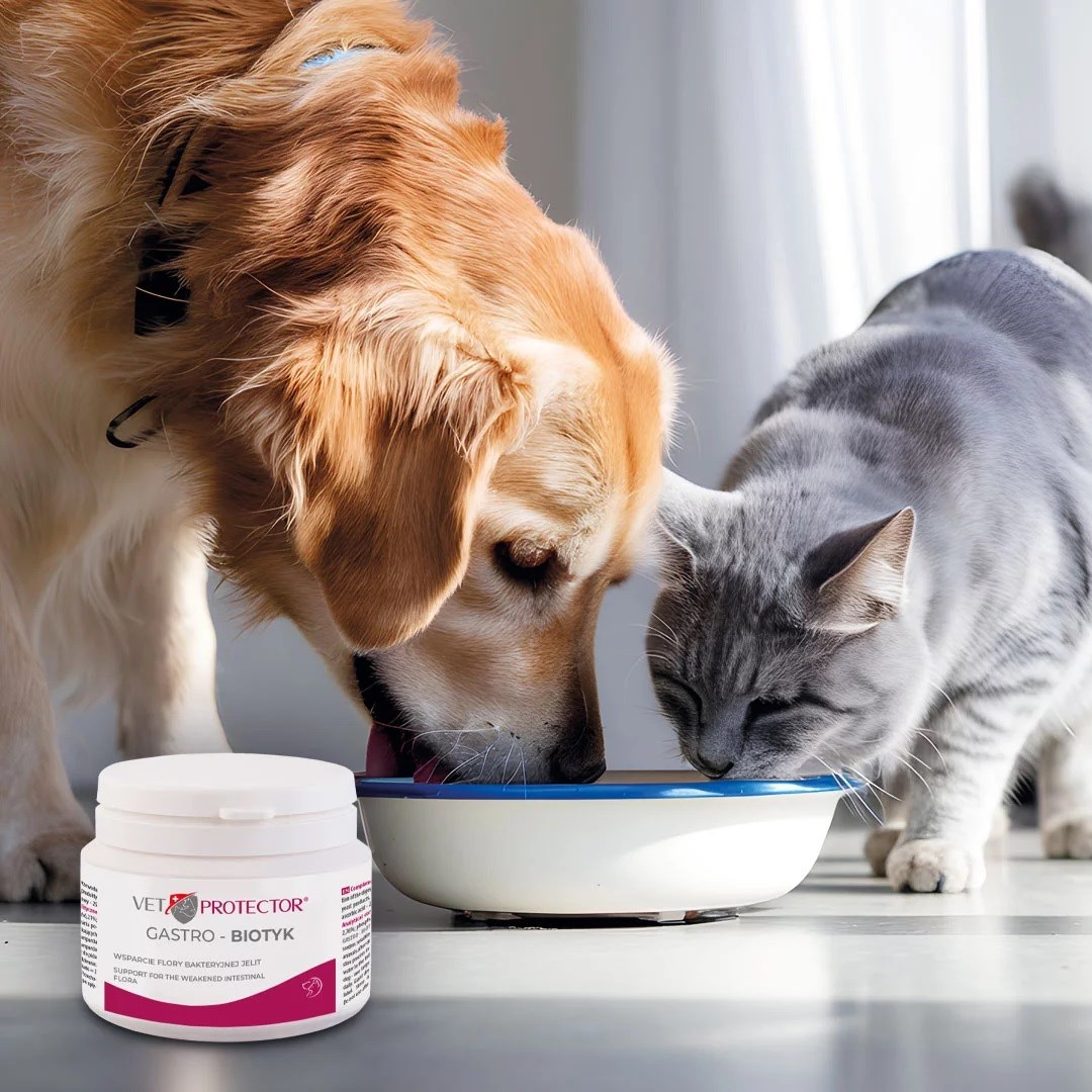 JM SANTE Vet Protector Gastro - Biotyk - multibiotik pro psy a kočky – 60 g
