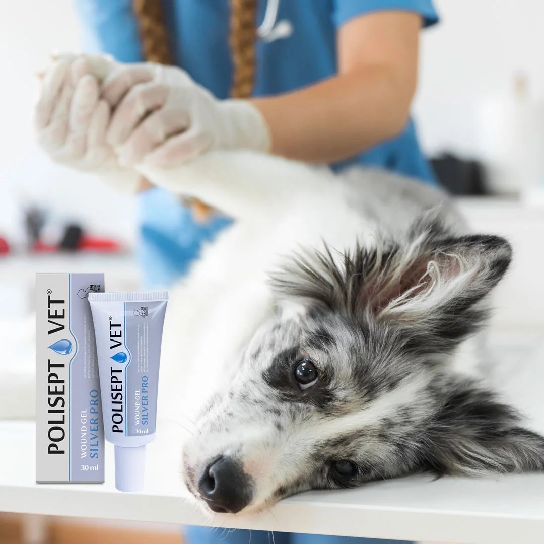 JM SANTE Polisept Vet Wound gel Silver Pro - gelový obvaz pro psy a kočky – 30 ml