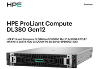HPE PL DL380g12 6505P (2.2/12C) 2x32G (P69727) 12LFF 2x8TB MR416i-o 2x1000W 10GbE NBD333 Smart Choice