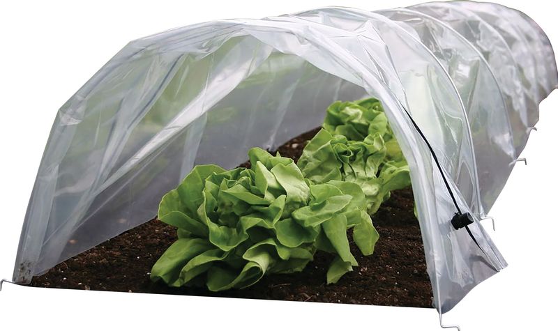 Parenisko Strend Pro Greenhouse, mini fóliovník, 55x600x40 cm