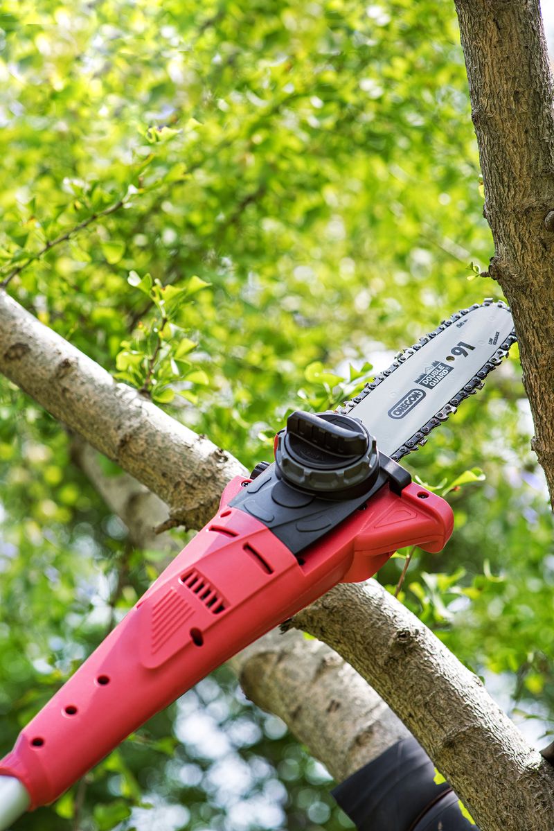 Pila Worcraft CPS-S20Li ShareSYS, 20 V Li-Ion, větevní, lišta 8  OREGON, teleskopická 188-270 cm, SE