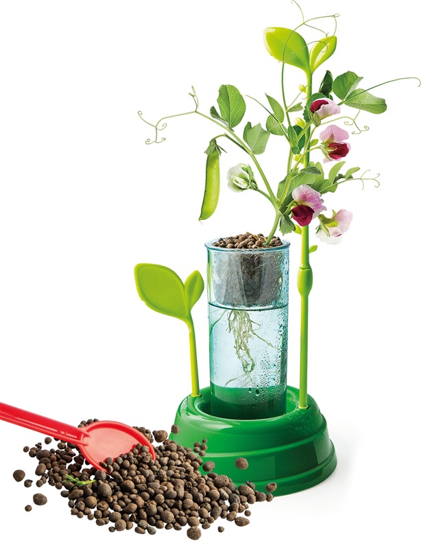 Kreativní sada Clementoni Botany 50924