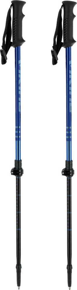 Trekové hole pro děti VIKING Kitsune Jr Trekking 55–90 cm, modré