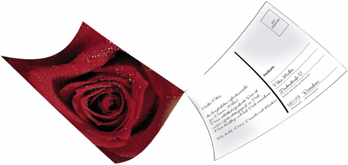 1x10 Hama Postcard label 10x15                       7950