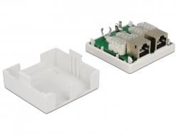Delock Modular Wall Outlet 2 Port Cat.6