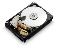 Western Digital Ultrastar® HDD 6TB (HUS726T6TALE6L4) DC HC310 3.5in 26.1MM 256MB 7200RPM SATA 512E SE (GOLD WD6002FRYZ)