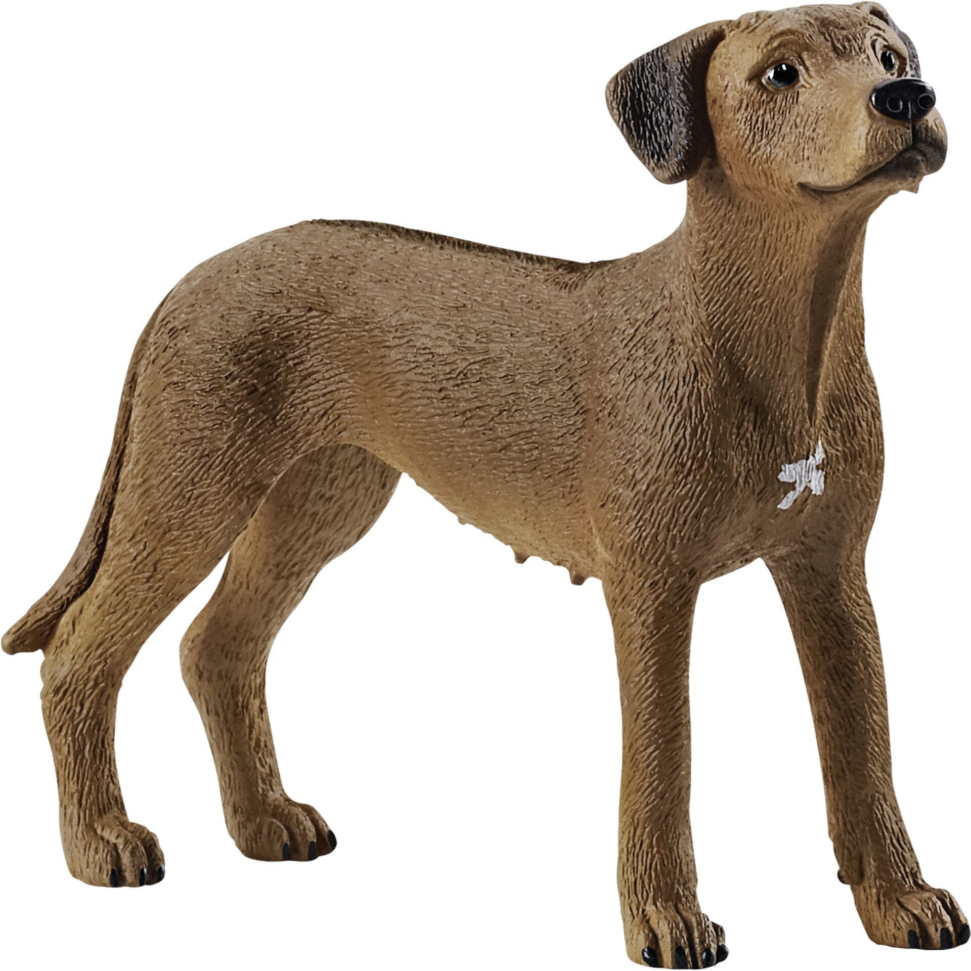 Schleich 13895 Ridgback rhodéský