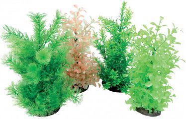 Zolux Aeroplant Aerator - L