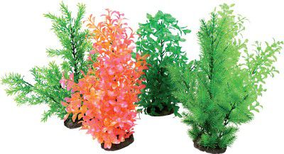 Zolux Aeroplant Aerator - XL