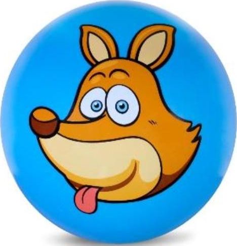 ARTICIC PVC Football 230 mm - Lisek