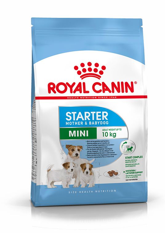 Royal Canin Mini Starter Mother & Babyd
