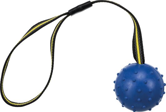 Trixie Ball na sportovním popruhu