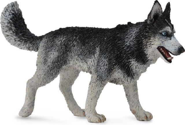 Figurka Collecta sibiřský husky pes (004-88707)