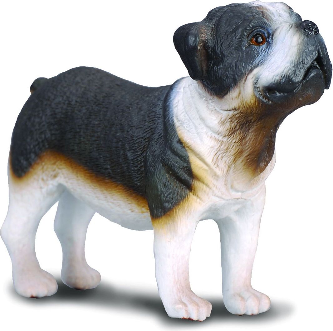Collecta figúrka psa Bulldog (004-88179)